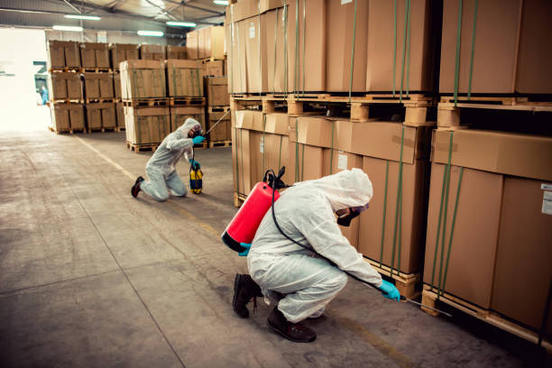 Best Affordable Pest Control Services  in Westlake Village, CA
