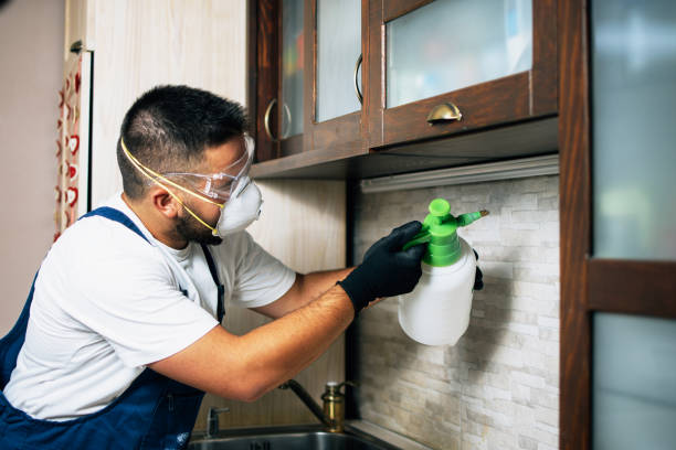 Flea Control Services in Westlake Village, CA