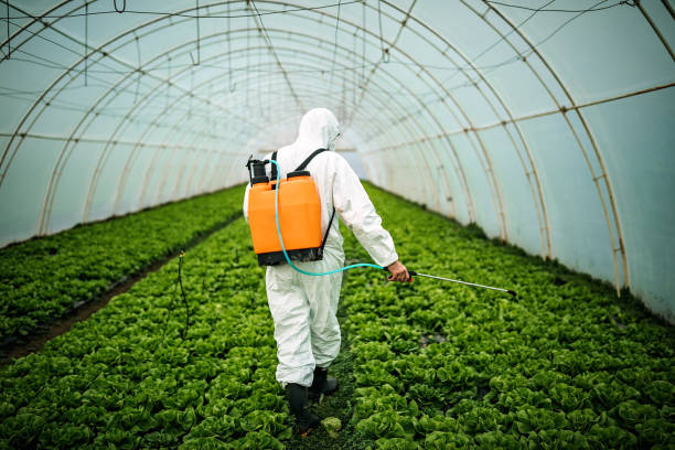  Westlake Village, CA Pest Control Pros