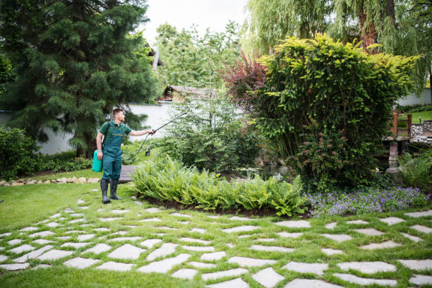 Best Local Pest Control Services  in Westlake Village, CA