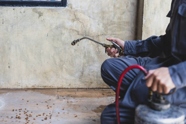 Best Emergency Pest Control  in Westlake Village, CA